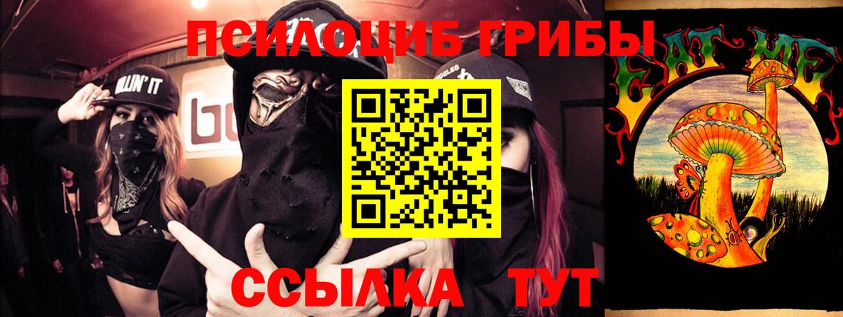 Галлюциногенные грибы Psilocybe  Вход с VPN  наркошоп  Кохма 